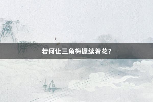 若何让三角梅握续着花？